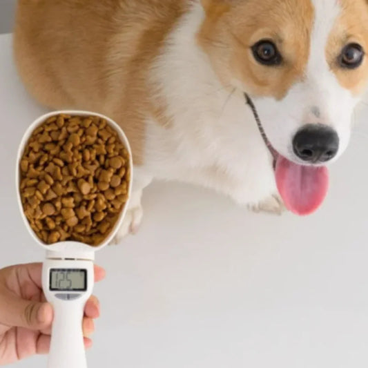 Electronic Pet Food Measuring Scoop