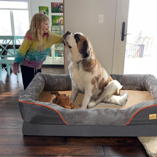 Comfortable Cat And Dog sofa